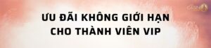 Ưu đãi VIP không giới hạn
